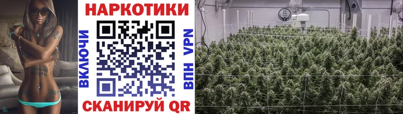 Магазины продажи наркотиков Алушта Галлюциногенные грибы Меф COCAIN Гашиш Бошки Шишки