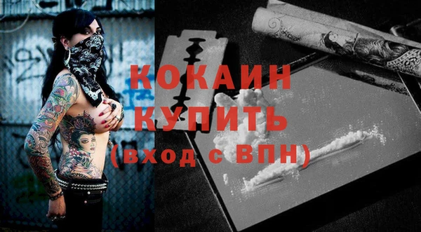 меф Пересвет