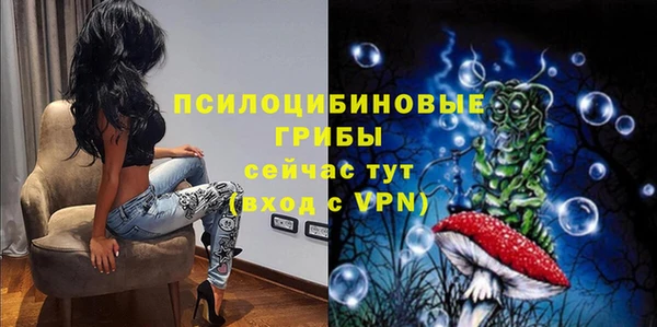 мескалин Осинники
