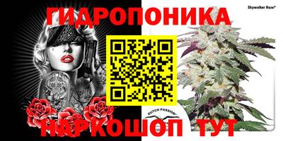 гашиш Гай