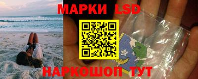 PSILOCYBIN Гатчина
