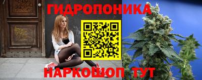 СК Абинск