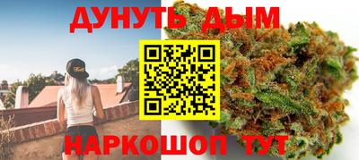 PSILOCYBIN Гатчина