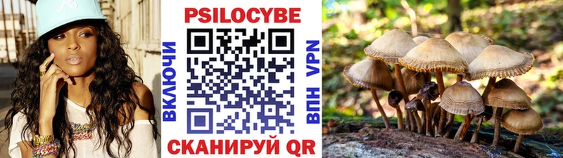 Псилоцибиновые грибы мухоморы  Алушта 