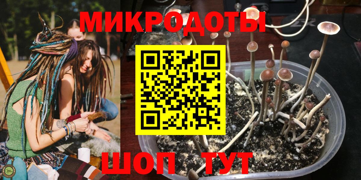 Псилоцибиновые грибы GOLDEN TEACHER  Галлюциногенные грибы GOLDEN TEACHER  Алушта  Вход с VPN 