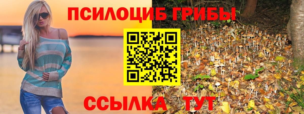 Псилоцибиновые грибы Psilocybine cubensis Алушта