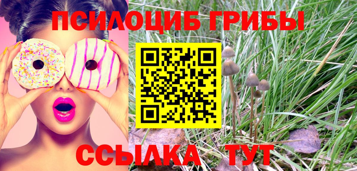 Псилоцибиновые грибы прущие грибы  Галлюциногенные грибы мицелий  Алушта 