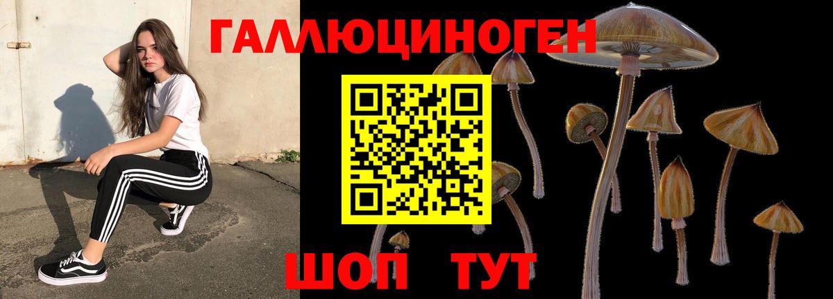 Алушта  Галлюциногенные грибы прущие грибы  Вход с VPN 